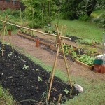 Crestwood Community Garden